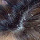 꽃길헤어 이미지