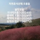 rest in jeju 이미지