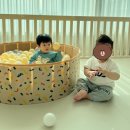 경신쌀상회 | 11개월 아기_후기3 진밥 먹기 시작, 네발 기기, 잡고 앞으로 걷기