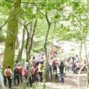 수목원약수터 이미지