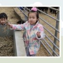 풀먹는흑염소목장 이미지