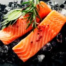 (주)연어 이미지