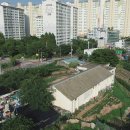 일산 이미지