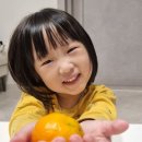 금동농장 이미지