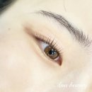 안나의눈썹 이미지