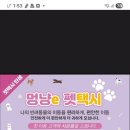 멍냥펫택시