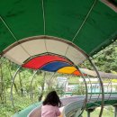 산토끼노래동산 이미지