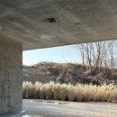 청풍발리호텔 | [제천] 콘크리트 월 (내돈내산 카페)