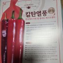 2026년도 고추 종자 파종을 시작합니다 이미지