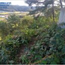 청일파출소 이미지