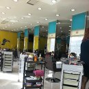 수정칼라 이미지