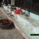 버섯마당 이미지