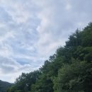 정솔 | 🌿 포항 하옥계곡 물놀이 후기 │정솔펜션 앞 숨은 물놀이 명소