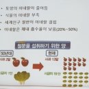 선화로13길 네이버블로그