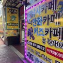 청주 봉명동 샤크 낚시카페 내돈내산 이색데이트 낚시 후기