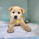 광주TNR동물병원(초월) 이미지