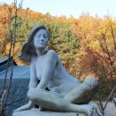 THATS CAMPING 횡성자연휴양림야영장 이미지