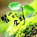 피우리라 Daum카페