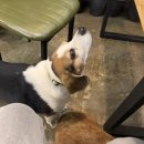 유로펜션 이미지