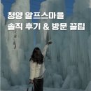와포햇살 영농조합법인 | [국내여행] 청양 알프스마을 솔직 후기 &amp; 방문 꿀팁｜충남 청양 알프스마을, 알프스마을 눈꽃 분수 축제...