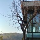 수지어린이집 이미지