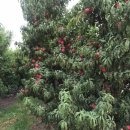 동그라미농장 이미지