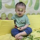 😍5월 2주 엉금둥이들의 놀이😍 이미지
