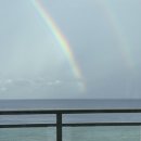 불 만난 스테이크 | 괌 5박7일 4일차 ㅣ머스탱렌트, 남부투어, 롱혼스테이크