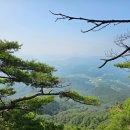 중원-100 이미지