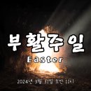 강동로-16 이미지