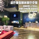 지에스25 평택골든점 | 에버랜드 근처 가족 숙소 추천 '골든튤립호텔' 디럭스쿼드러플룸 내돈내산 숙박후기