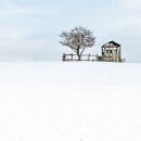 하염없이 바라보고 픈 설경 이미지