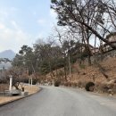 여주 | 여주 찜질방 후기 숲을 그리다 숯가마 3개 방 온도별 체감 차이 솔직 비교