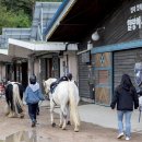 일은축산 이미지