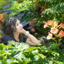 까페능소화 이미지