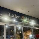[일산] 라페스타 터줏대감 귀여운 사장님이 운영하시는 꽃집 추천 / 개업 화분 구매후기 _ 라페플라워