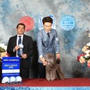 한국참피온 이미지