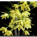 무념무상 이미지