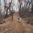 호천식당 이미지