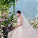 영화꽃화원 | [아이폰스냅] 아이폰 스냅 추천 리스트 (포근한/영화같은/깔끔한 무드)