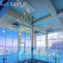 머드포레스트