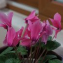 열미리보건진료소 이미지