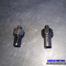 코리언모터스 이미지