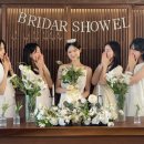 스테이 시래 이미지