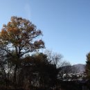 가래울1교 이미지