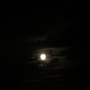 시골바이브 이미지