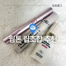 투크 잇아웃 미러 립틴트와 바닐라코 커버립 베이스 후기