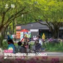 (주)정원 | 250517 「아고라 순천」 상설공연 5월 셋째주 순천만국가정원 공연 후기