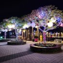 거제식물원 이미지