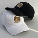 고양이 모자 이미지